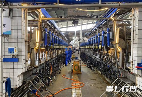 数字技术成农业生产“新农具” 智能设备助推长沙农业产业提质升级与温泉设备技术研发新动向